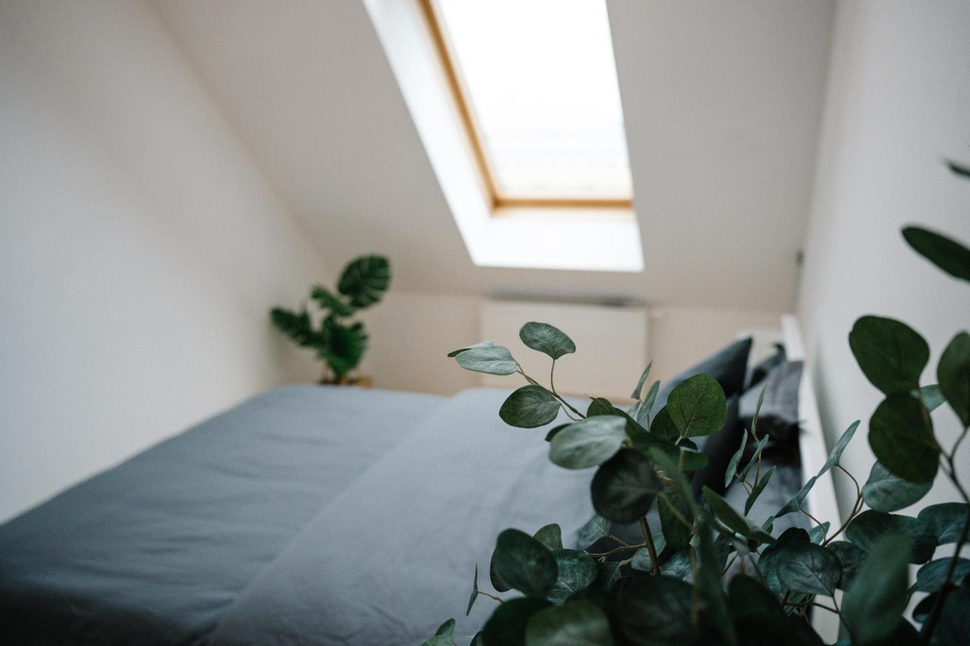 110Qm, 4 Bedrooms, Near Schoenbrunn - Axara Housing Osw 33 Wenen Buitenkant foto